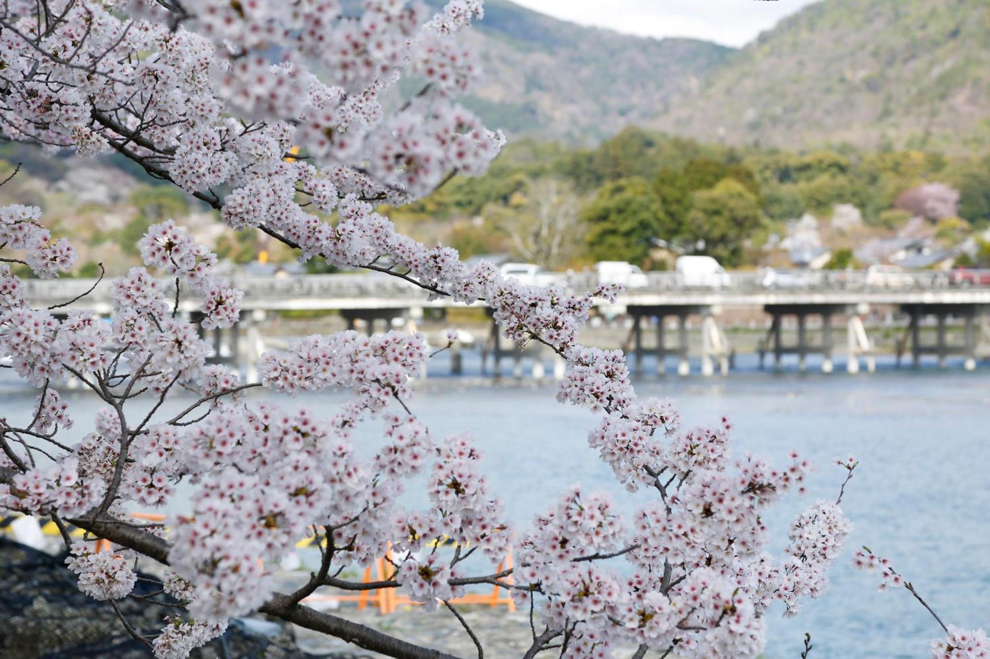 Kyoto Arashiyama Onsen Ryokan Togetsutei Екстериор снимка
